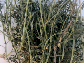 450mt Vetch Hay 650kg 8x4x3 Bales