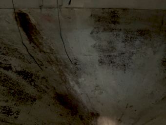 RK Macey 26 tonne Field Bin