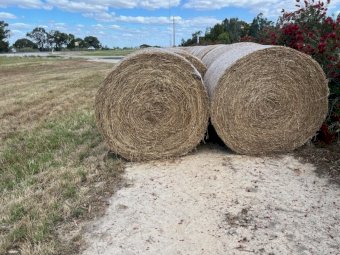 10 x Lucerne Hay 5x4 Round Bales