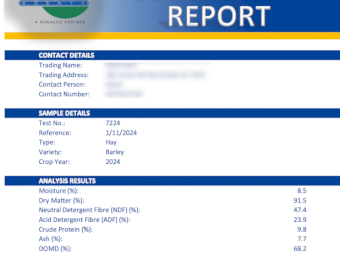 280mt Barley Hay 650-700kg 8x4x3 Bales