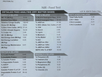 190mt Oaten Hay 634kg 8x4x3 Bales