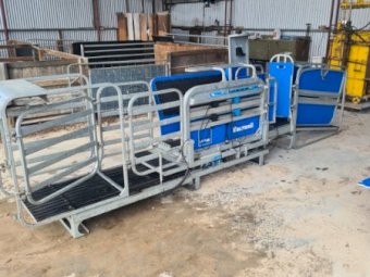 2020 Racewell Te Pari HD4 Sheep Handler