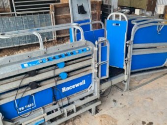 2020 Racewell Te Pari HD4 Sheep Handler