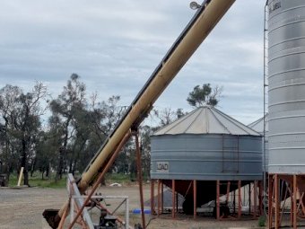 Westfield 38' x 8" Auger