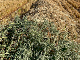 100 x Oaten Hay 400kg 4x4 Round Bales