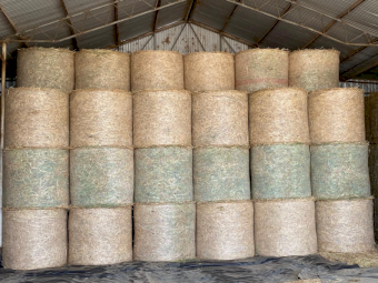 100 x Oaten Hay 400kg 4x4 Round Bales