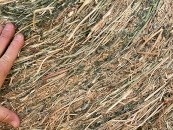 400 x Vetch Oaten Hay 420kg 4x4 Rolls