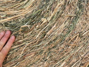 400 x Vetch Oaten Hay 420kg 4x4 Rolls