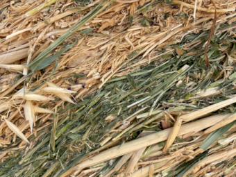 400 x Vetch Oaten Hay 420kg 4x4 Rolls