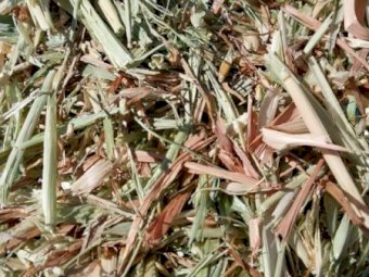 60m/t New Season Oaten Hay (2024)