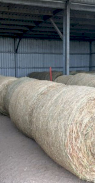 57 x Lucerne/Oats Hay 4x4 Rolls