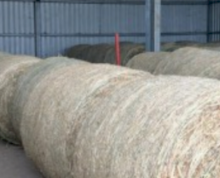 57 x Lucerne/Oats Hay 4x4 Rolls