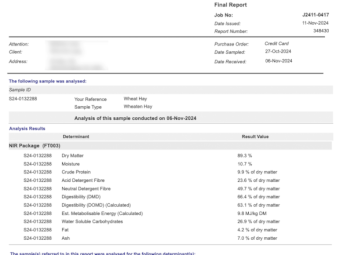 13 Wheaten Hay Bales