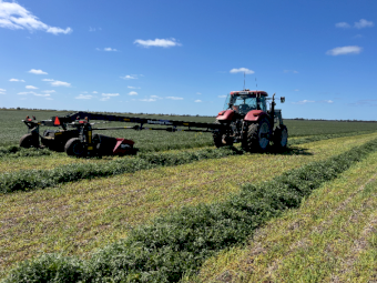 100mt Vetch Hay 720kg 8x4x3 Bales