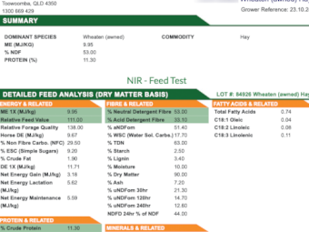 Wheaten Hay 700kg 8x4x3 Bales