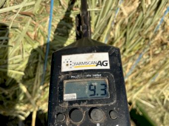 Wheaten Hay 700kg 8x4x3 Bales