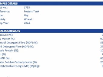 Wheaten hay 8x4x3 Bales