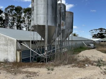 4 x Pallet Silos for Chicken Shed