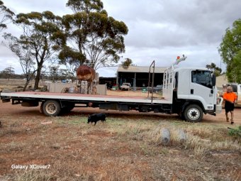 2015 Isuzu FSR 850 Tray Top Truck