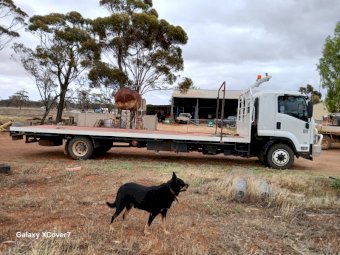 2015 Isuzu FSR 850 Tray Top Truck