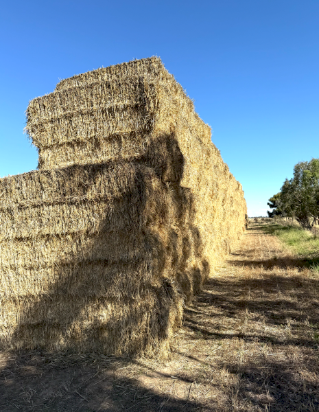 220mt Wheaten Hay 600-620kg 8x4x3 Bale