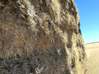 220mt Wheaten Hay 600-620kg 8x4x3 Bale