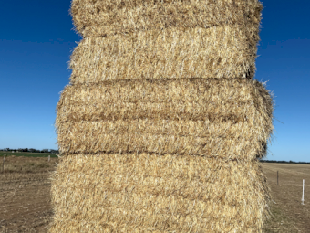 220mt Wheaten Hay 600-620kg 8x4x3 Bale