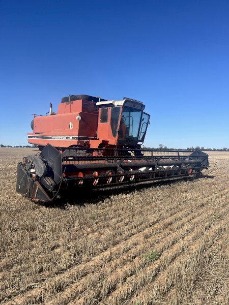 International 1460 Header