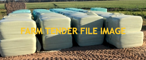 180 x Wheaten Silage Square Bales