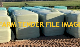 180 x Wheaten Silage Square Bales