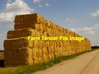 80 x Barley Windrowed Straw 400-450kg 8x4x3 Bales