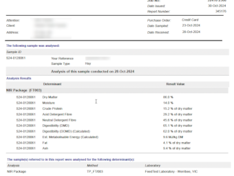 300mt Vetch Hay 600kg 8x4x3 Bales
