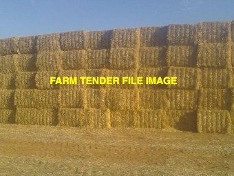 60 x Wheaten Straw 8x4x3 Bales