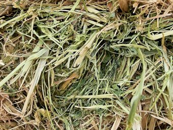 26mt Clover Oat Ryegrass Mixed Hay 650kg 8x4x3 Bales