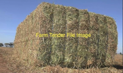 WANTED  Vetch Hay 8X4X3 Large Square Bales