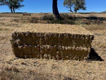 500 X Wheaten & Oaten / Rye Straw 8X4X3 Large Square Bales