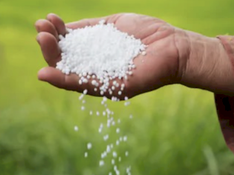 Urea Ex Brisbane