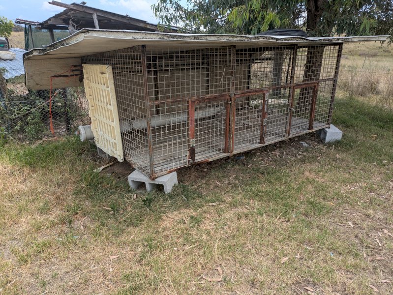 3 Dog Kennel