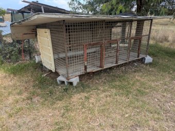 3 Dog Kennel
