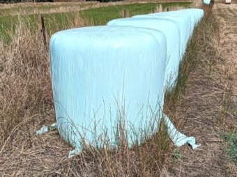 92 Bales Ryegrass Silage Rolls 24/25 Season