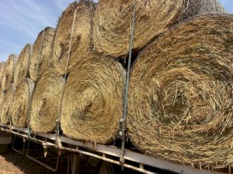 24' Season Wheaten Hay Round Bales