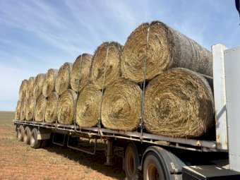 24' Season Wheaten Hay Round Bales
