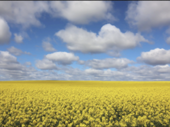 Granulock Z ex Geelong