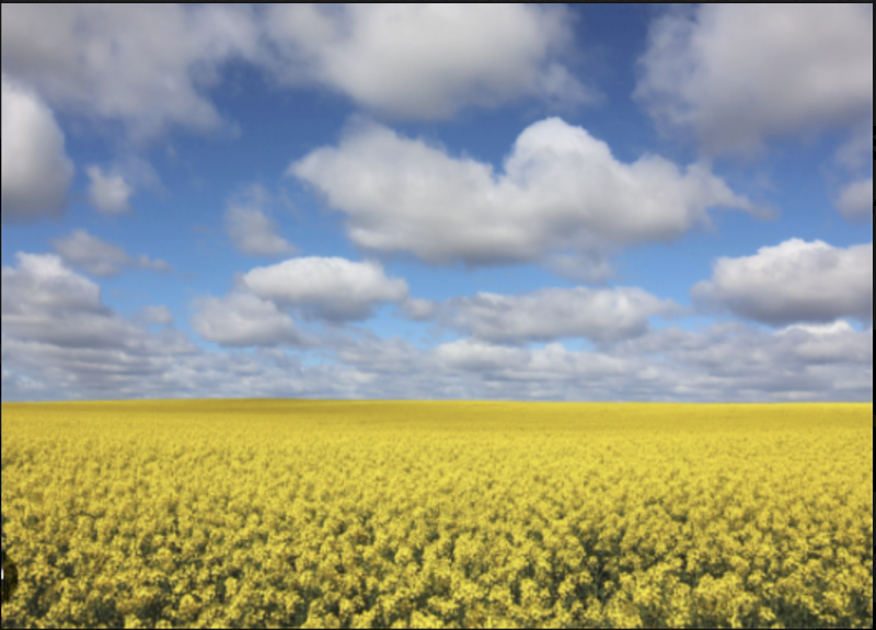 Granulock Z ex Brisbane