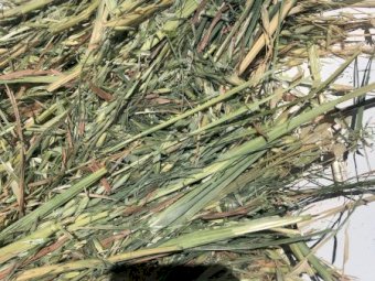 100mt Oaten Hay 600kg 8x4x3 Bales