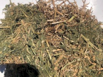 200mt Vetch Hay 560kg 8x4x3 Bales