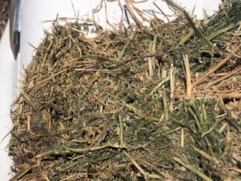 200mt Vetch Hay 560kg 8x4x3 Bales