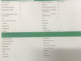 200mt Vetch Hay 560kg 8x4x3 Bales