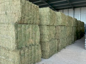 44mt Lucerne Hay 8x4x3 Bales