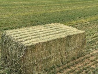 44mt Lucerne Hay 8x4x3 Bales